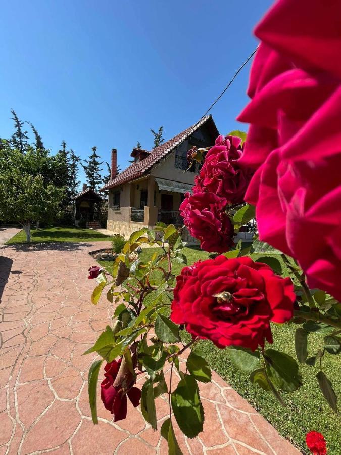 Villa Katerina Nea Kallikrateia Luaran gambar